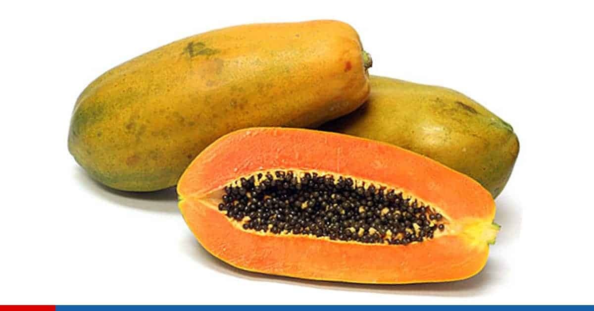 FRUTA BOMBA NARANJA VIDRIO 355