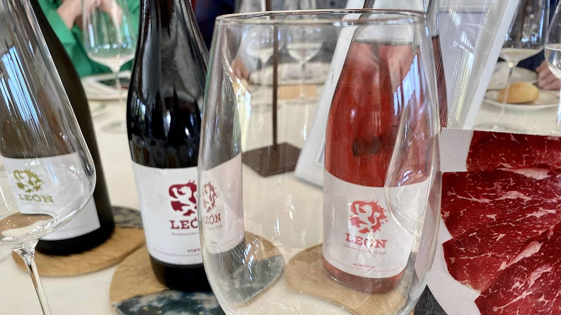 VINO ROJO MOLTACHINO 2020 LEON